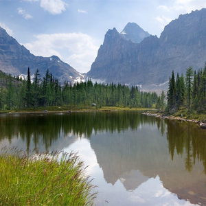 福瑞流酸奶图片
