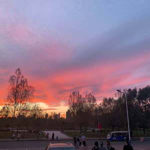 福瑞流酸奶图片
