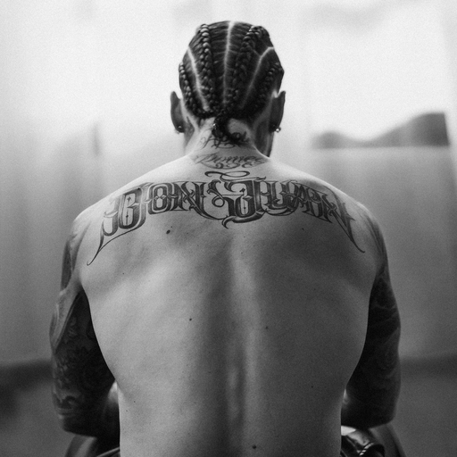 福瑞流酸奶图片
